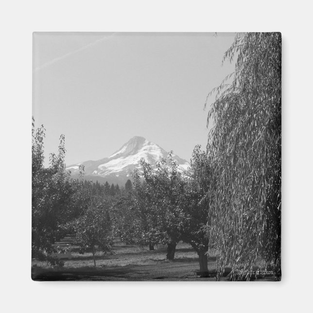 Août Mt Hood Magnet (Devant)