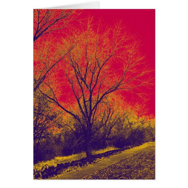 Apocalyptique (Devant)