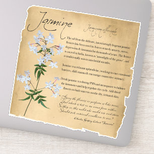 Apothécaire de plantes : Jasmine   Autocollant bot