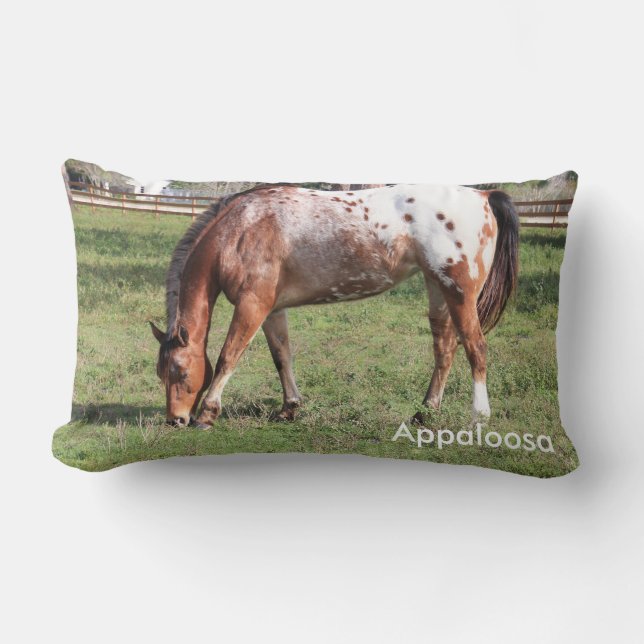 Appaloosa Horse Coussin (Recto)
