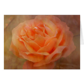 Appel au Rose avec texture