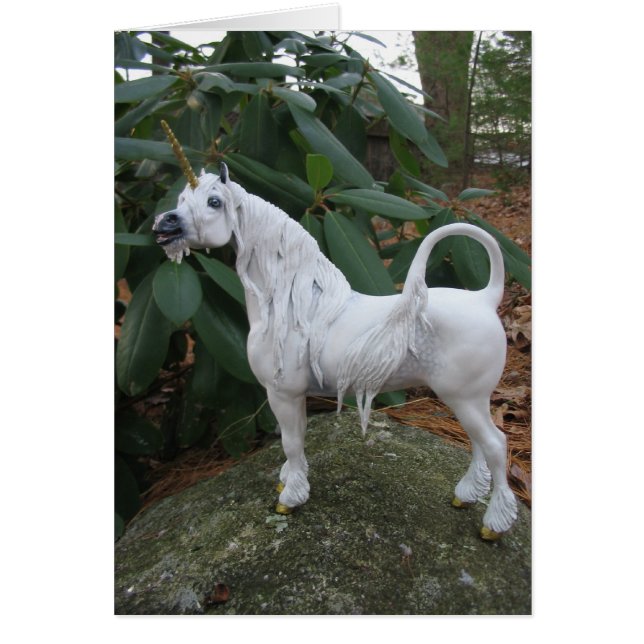 Appel de Unicorn (Devant)