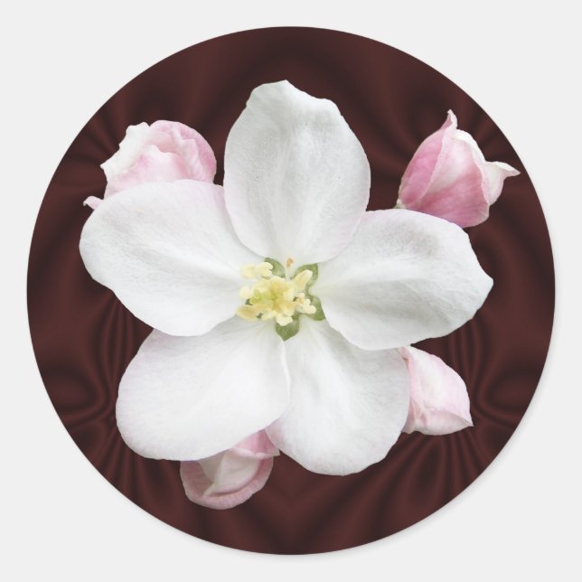 Apple Blossom ~ autocollant (Devant)