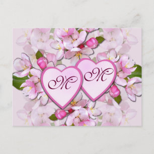 APPLE BLOSSOM & COEURS ~ Carte postale