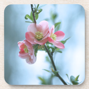 Apple Blossom #P0365 Dessous de verre de liège