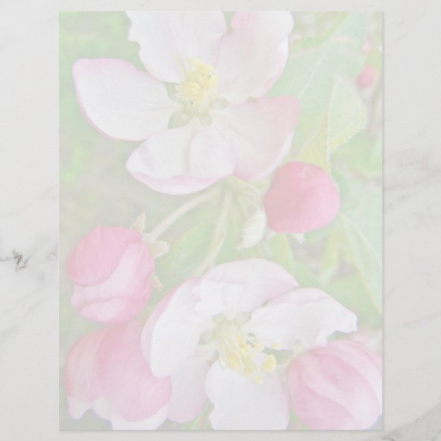 Apple Blossom Time (Devant)