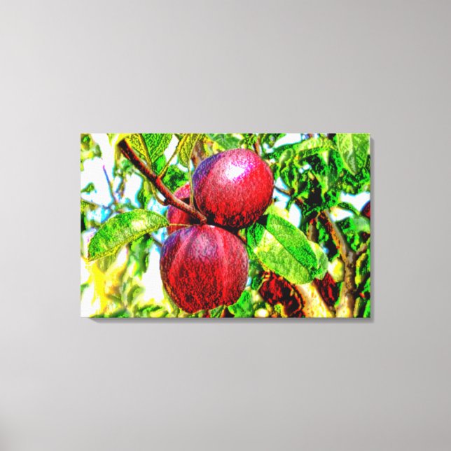 Apple de mon oeil Dessin d'oeuvres sur toile (Recto)