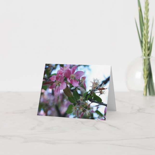 Apple fleurissent le carte pour notes 1 (Devant)