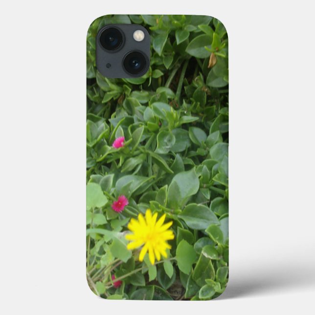 APPLE iPHONE 13 COQUE GARDEN PHOTOGRAPHIE CONCEPTI (Verso)