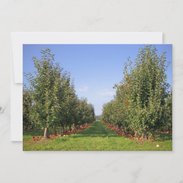 Apple Orchard (Devant)