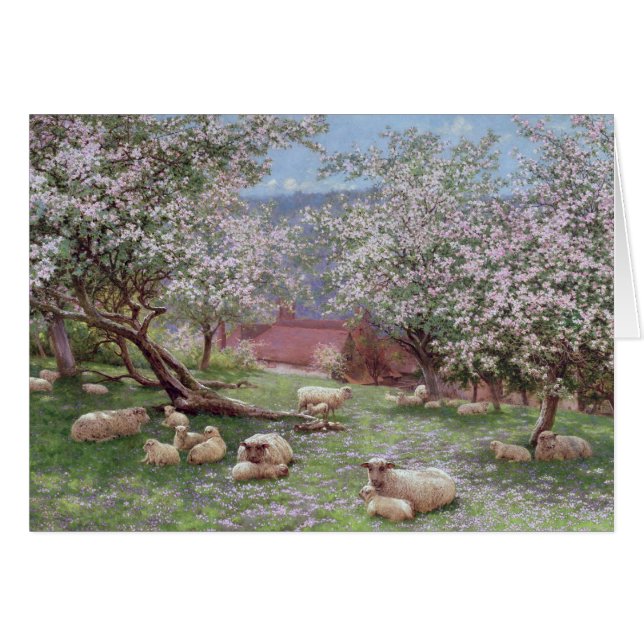 Appleblossom (Devant horizontal)