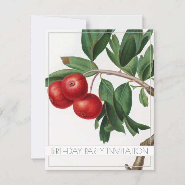 APPLES ANNIVERSAIRE FÊTE INVITATION CARTE PLAT (Devant)