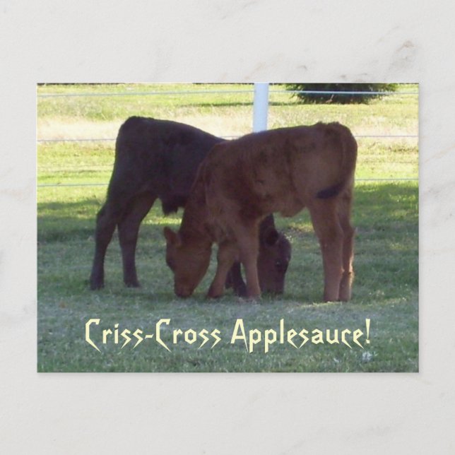 Applesauce Criss-Cross ! Carte postale Calques (Devant)