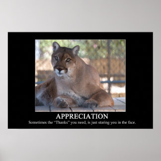Appreciation Poster