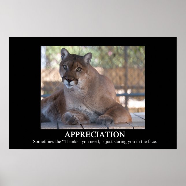 Appreciation Poster (Devant)