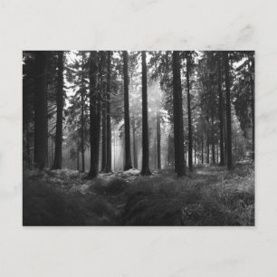 Après la carte postale pluie