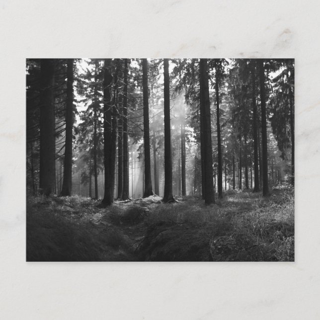 Après la carte postale pluie (Devant)