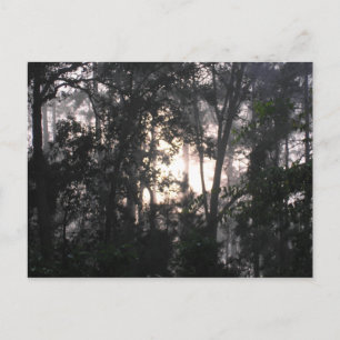 Après la tempête - Carte postale #2