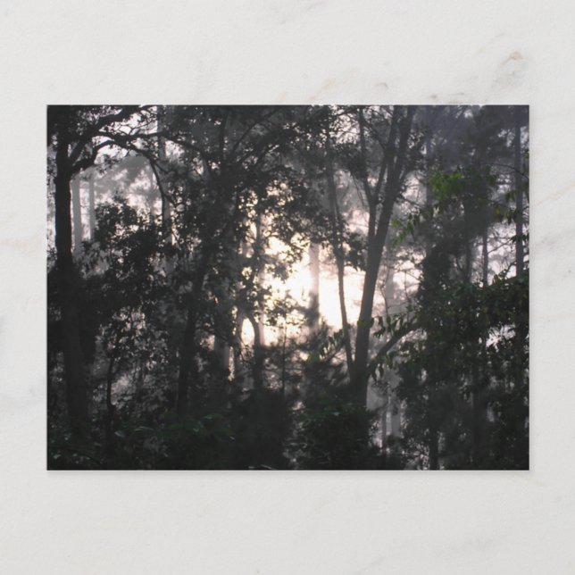 Après la tempête - Carte postale #2 (Devant)