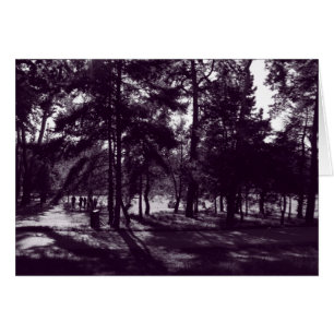 Après-midi dans le parc (Purple Toned BW)