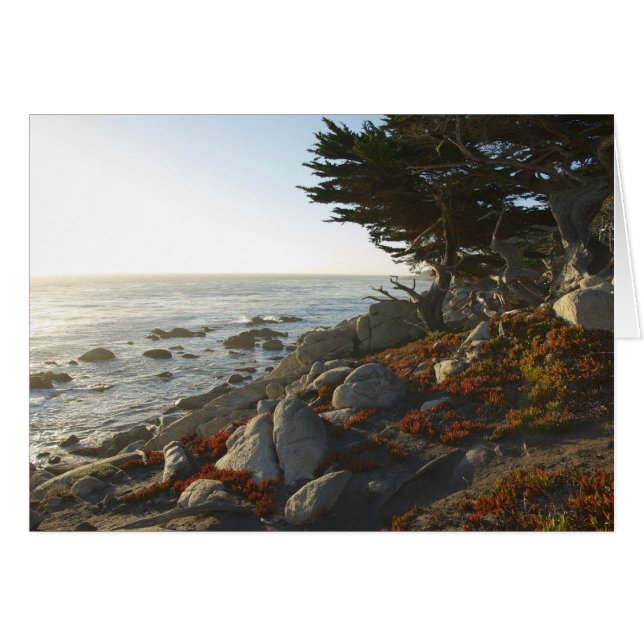 Après-midi de chute sur le Pacifique (Devant Horizontal)