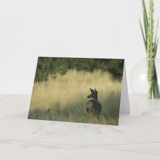 Après-midi Mulie, carte de voeux par la marque