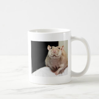 APRÈS TASSE DE CAFÉ