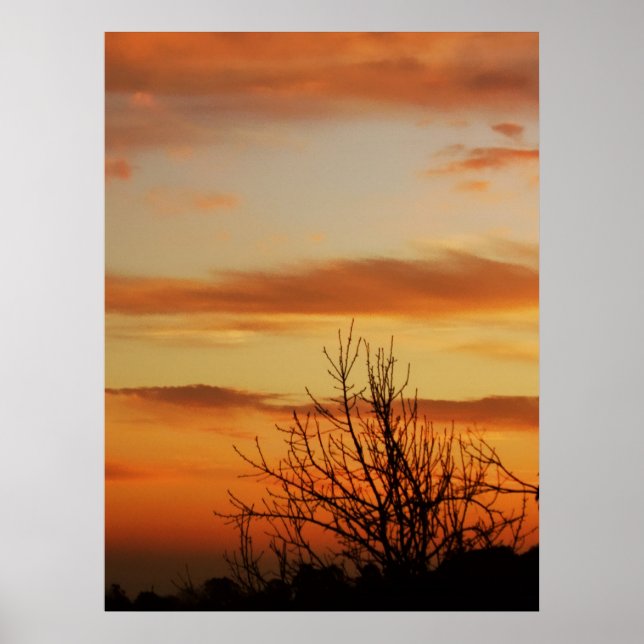 apricot skyscapes Poster (Devant)