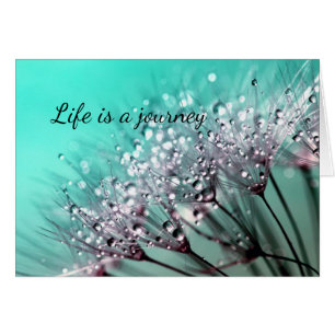 Aqua Cactus Bonsai Bloom N'Importe Quelle Carte D'