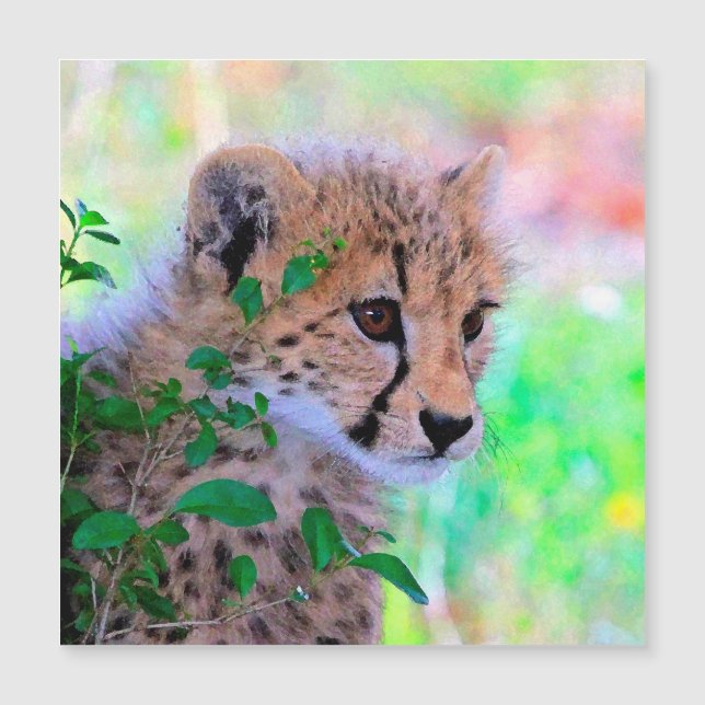 Aqua_Cheetah_20180102 (Devant)