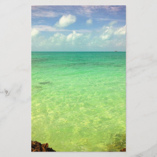 Aqua Green Ocean | Turks and Caicos Photo (Devant)