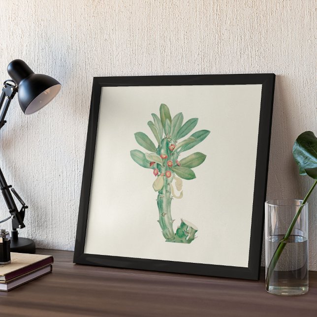 Aquarelle Antique Botanique Affiche d'impression (Watercolor Antique Botanical Cactus Print Poster)
