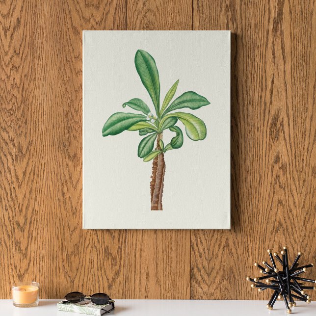 Aquarelle Antique Botanique Cactus Imprimer Poster (Watercolor Antique Botanical Cactus Print Poster)