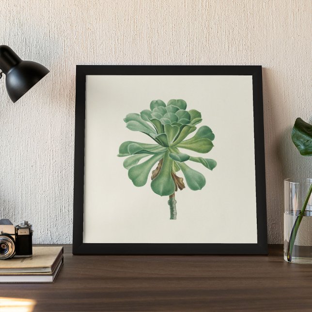 Aquarelle Antique Botanique Cactus Imprimer Poster (Watercolor Antique Botanical Cactus Print Poster)