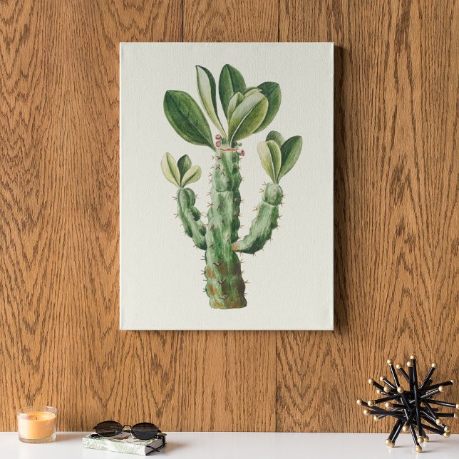 Aquarelle Antique Botanique Cactus Imprimer Poster (Watercolor Antique Botanical Cactus Print Poster)