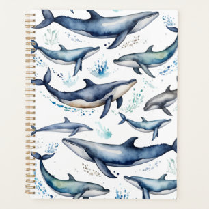 Aquarelle Baleines bleues et dauphins, animal mari