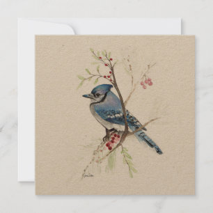 Aquarelle Blue Jay Bird