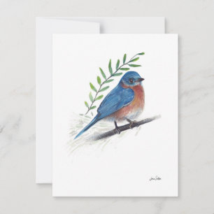 Aquarelle Bluebird
