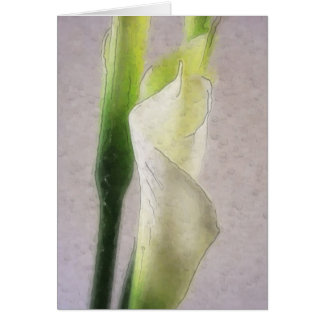 Aquarelle Calla Lily 1
