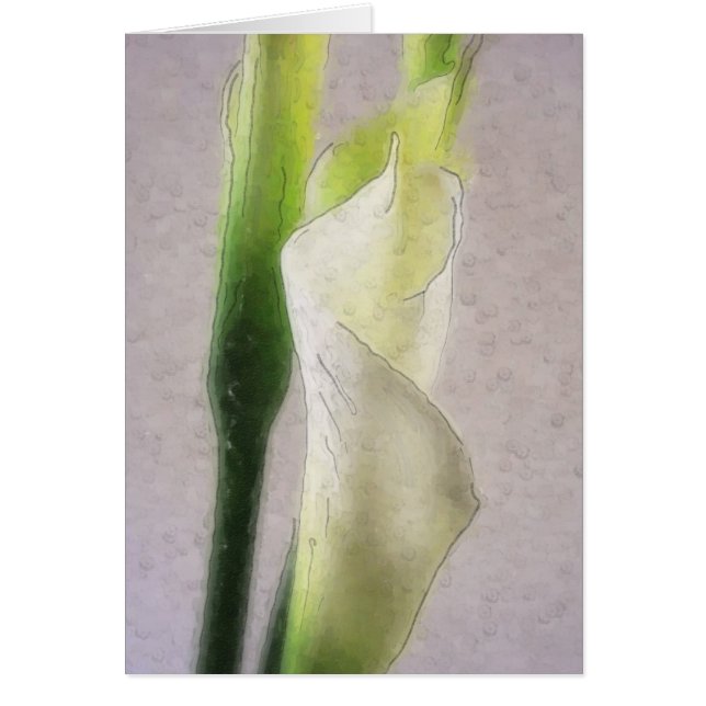 Aquarelle Calla Lily 1 (Devant)