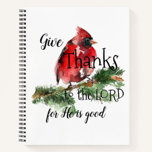 Aquarelle Cardinal Journal