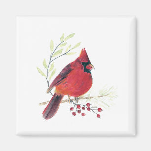 Aquarelle cardinale Magnet d'art