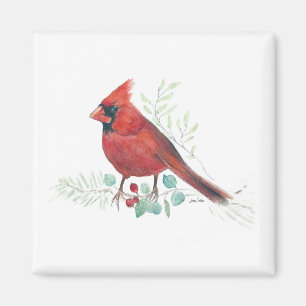 Aquarelle cardinale rouge Magnet