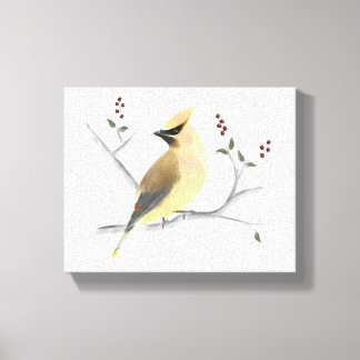 Aquarelle Cèdre cire toile enveloppée