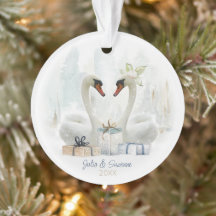 Aquarelle Couple de cygne d'hiver