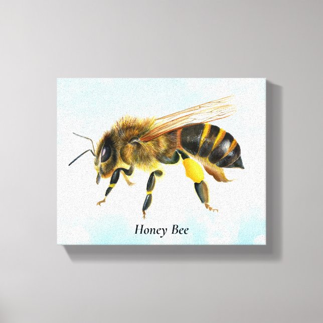 Aquarelle d'abeille de miel toile étirée (Recto)