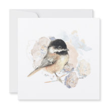 Aquarelle de chickadee Songbird