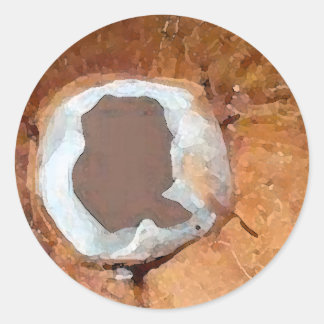 Aquarelle de coco - autocollant