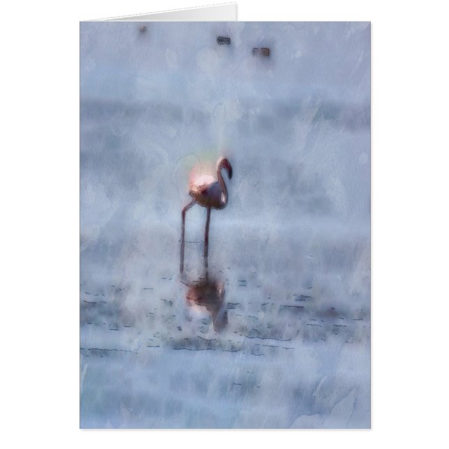 Aquarelle de Flamant rose solaire (Devant)