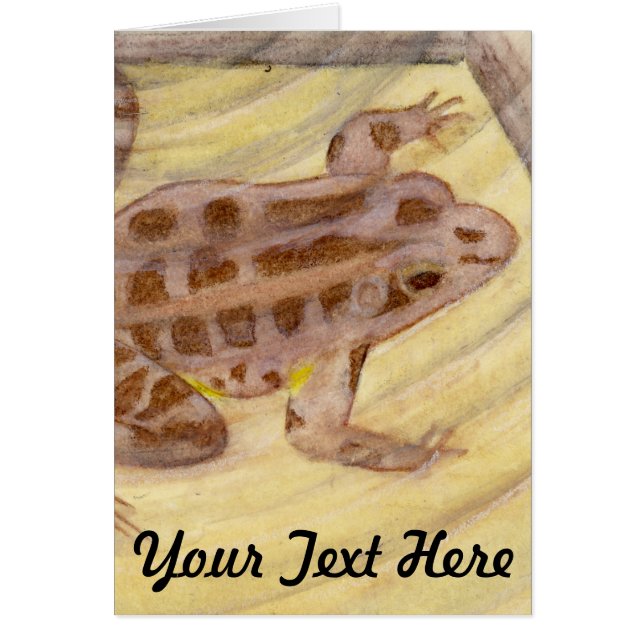 Aquarelle de la grenouille de Pickerel (Devant)